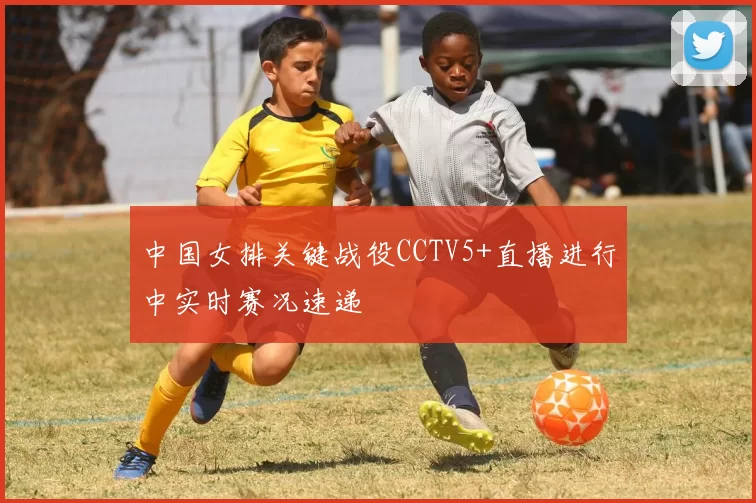 中国女排关键战役CCTV5+直播进行中实时赛况速递