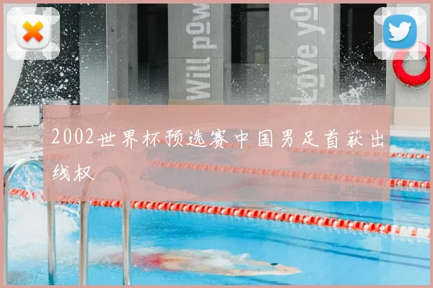2002世界杯预选赛中国男足首获出线权