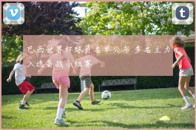 巴西世界杯球员名单公布 多名主力入选备战小组赛